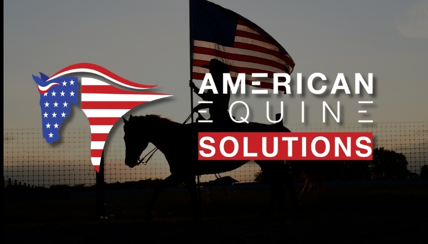Advanced Advertising Solutions 989.429.9173