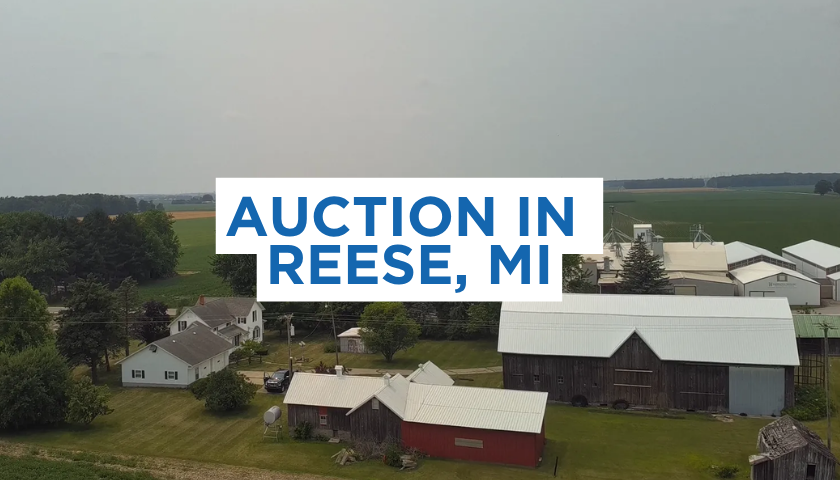 MIFLEX Auction